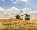 KTG Agrar SE: Vorerwerbsrecht hinsichtlich des litauischen Teilkonzerns nicht ausgeübt