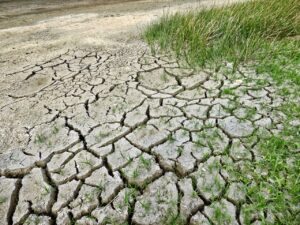 Klimawandel : Dürre und Trockenzeiten ante portas