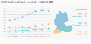 Insolvenzen, Gesamtblick