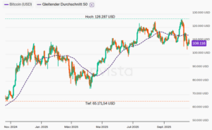 Bitcoin, 12 Monate