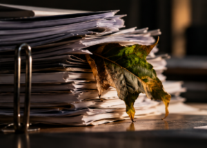 Leef wird ein Fall für das Insolvenzgericht